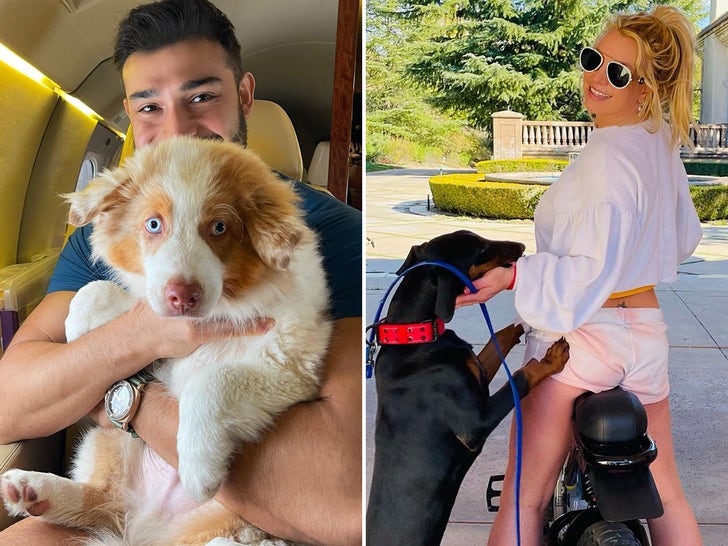 Foto dei cuccioli di Britney Spears e Sam Asghari