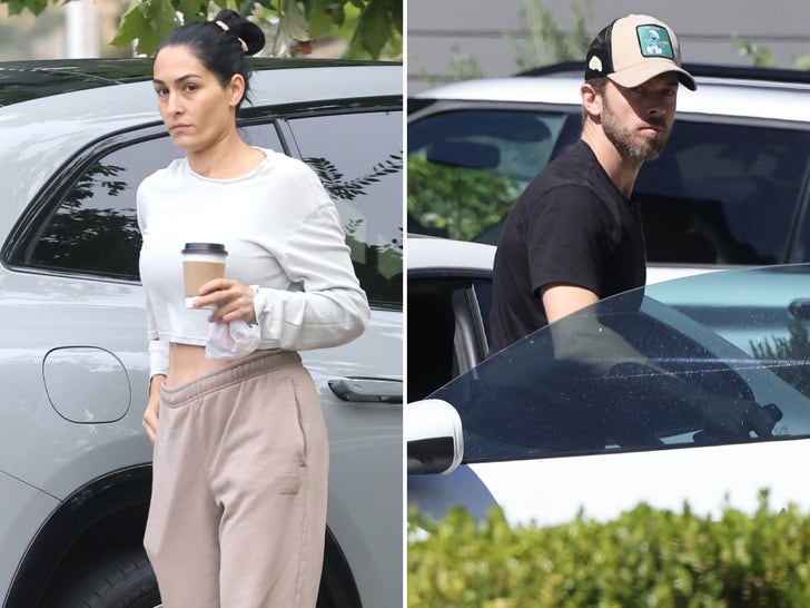 Nikki Bella & Artem Chigvintsev Seen Together for First Time Since Arrest