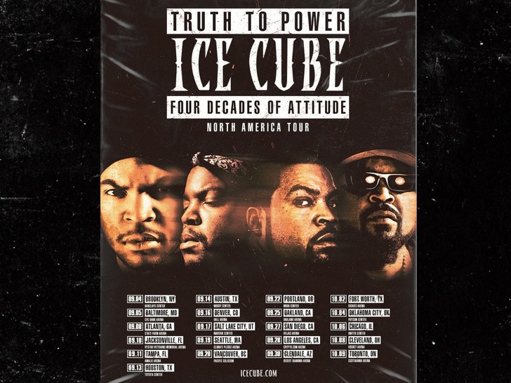 ice cube flyer