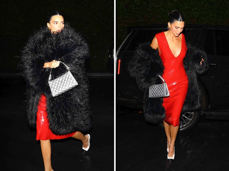 Kendall Jenner in a Red Dress