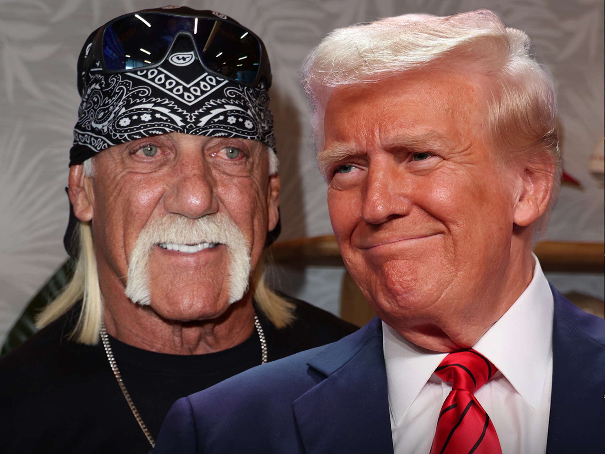 Hulk Hogan Convinced Trump To Sit Down For Netflix Doc Before