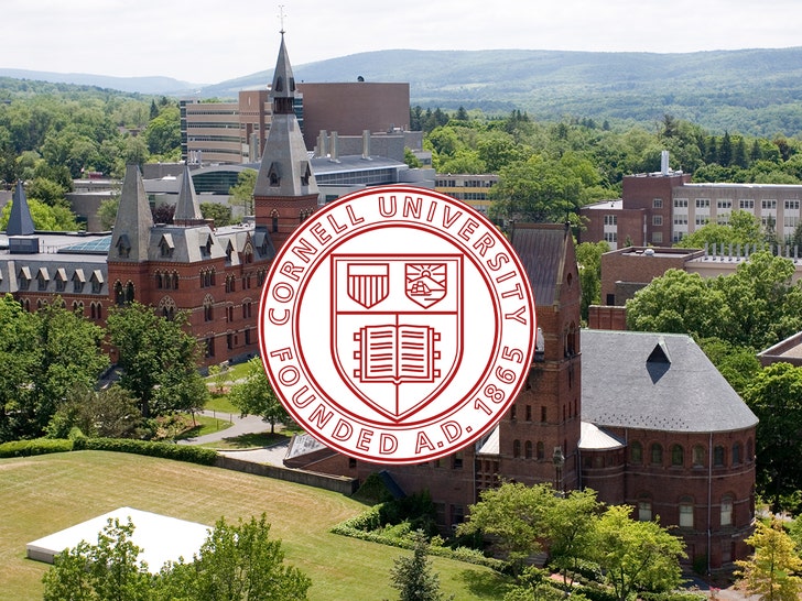 Cornell University getty