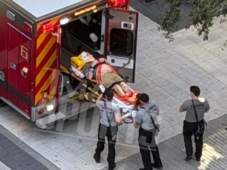 RIc flair ambulance getty tmz sports