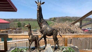 April the Giraffe Gets Bronze Statue, Ashes Spread in Memorial
