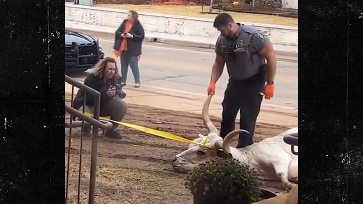 Longhorn found dead at Oklahoma State fraternity house before OSU-Texas Big 12 title game