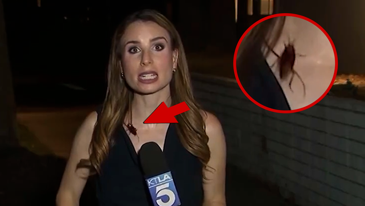 071526_ktla_reporter_roach_kal