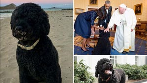Sunny, Barack Obama, Michelle Obama, Pope Francis