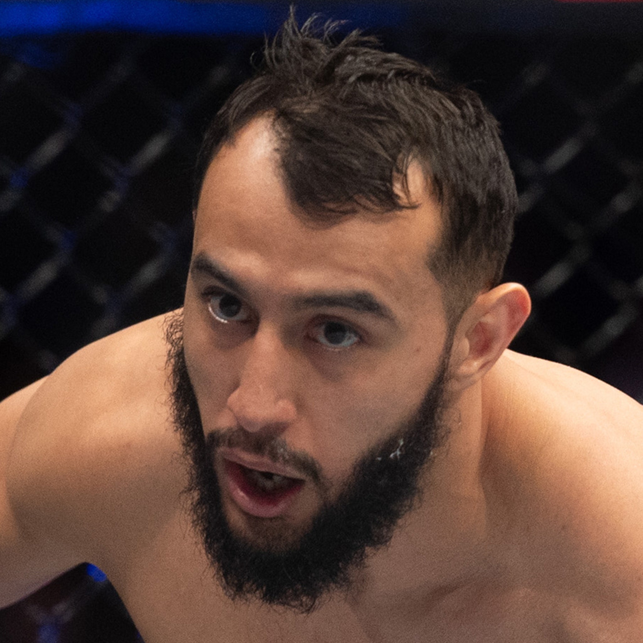 Dominick Reyes