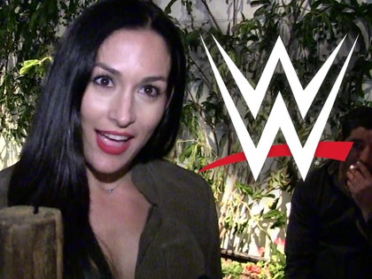 0325_nikki-bella_wwe-tmz