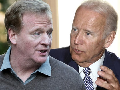 0205 roger goodell joe biden getty comp