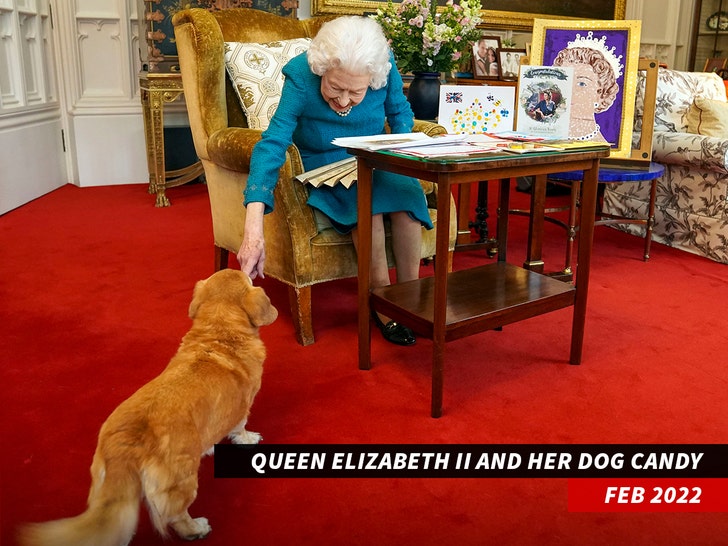 The Queen's Puppy Love
