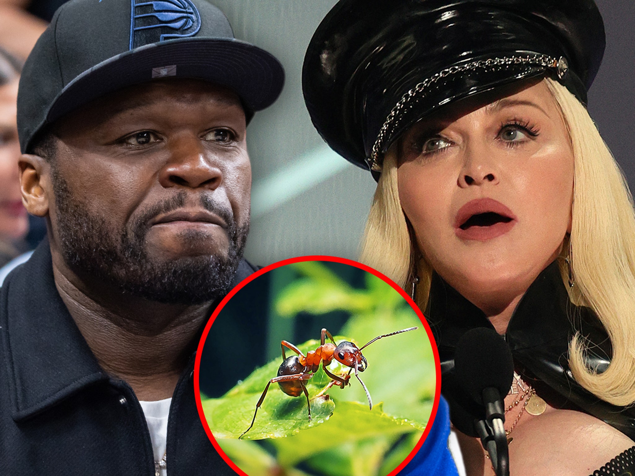 50 Cent Reignites Beef With Madonna, Compares Her To A Bug