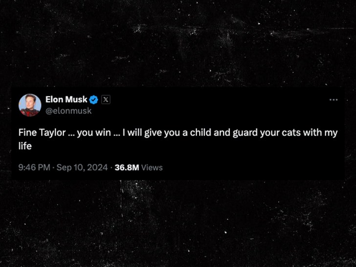 elon musk taylor swift