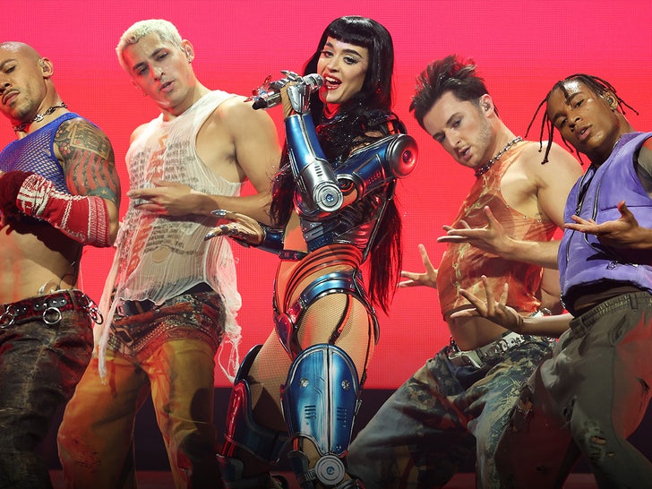 Katy Perry's 'The Lifetimes Tour' Performances