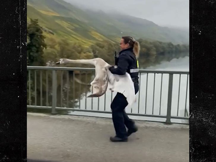 110525_policia_patos_carrie_patos