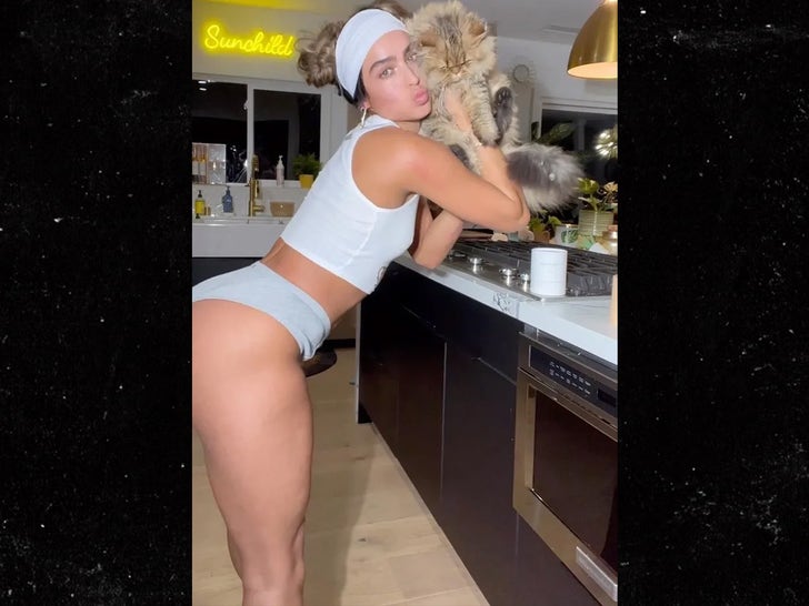 Celebrities With Cats -- Picture Purrfect!