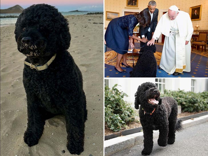 Remembering Sunny Obama