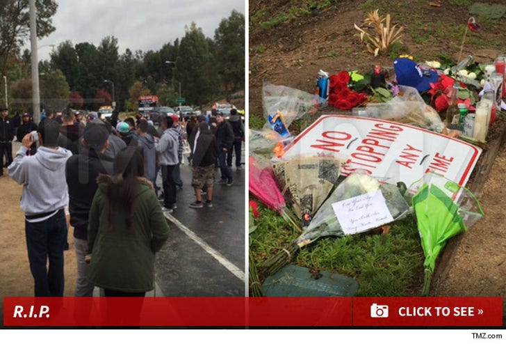 Paul Walker Fans Pay Tribute at Crash Site