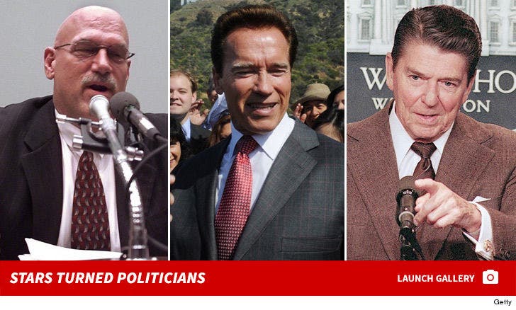 Stars Turned Politicians