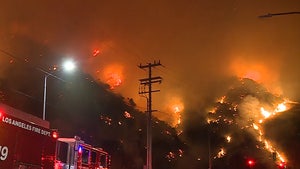 L.A. Firefighters Battle Huge Brush Fire in Bel-Air