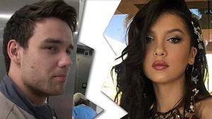 Liam Payne, Maya Henry Split After 10-Month Engagement, Blames Himself