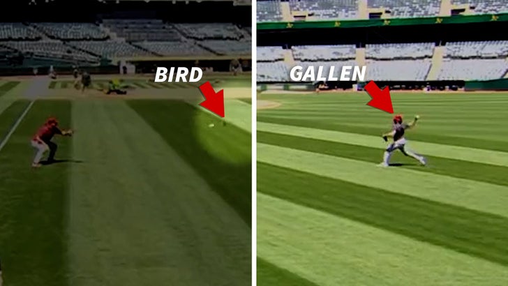MLB Yıldızı Zac Gallen Bird'ü Isınma Pitch'iyle Öldürdü, Shades Of Randy Johnson