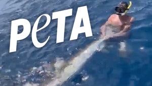 PETA Slams Drew Rosenhaus For Shark Wrestling, 'Wannabe Macho Man'