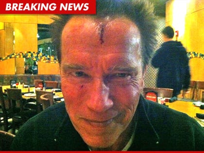 1117_arnold_twitter_BN_01