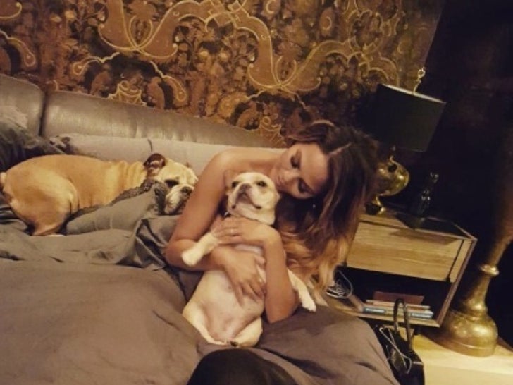 Stars Snuggling Their Dogs