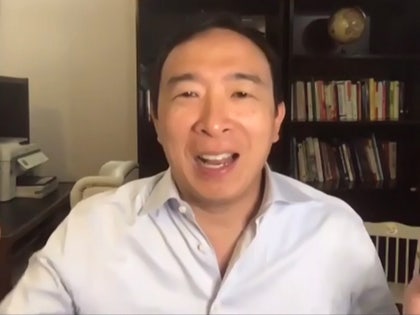 081220-andrew-yang-primary