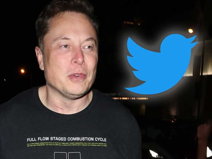 elon musk twitter