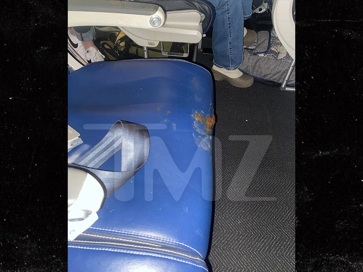 poo on airline seat