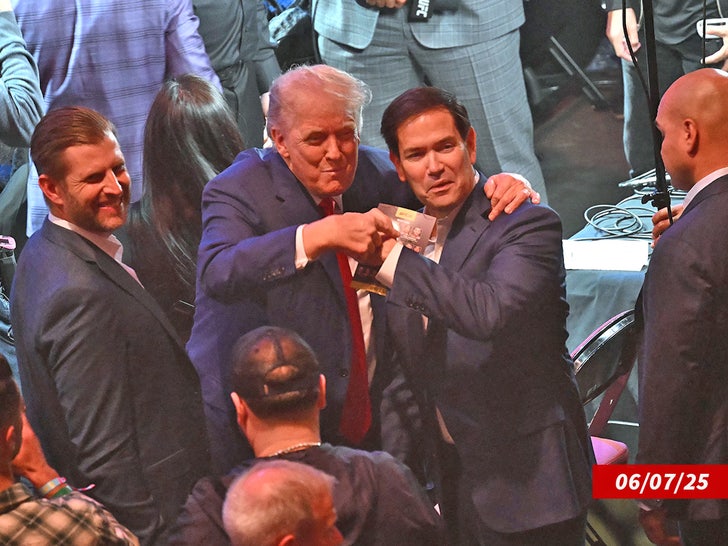 Donalds Trumps Dana Vaita UFC 3