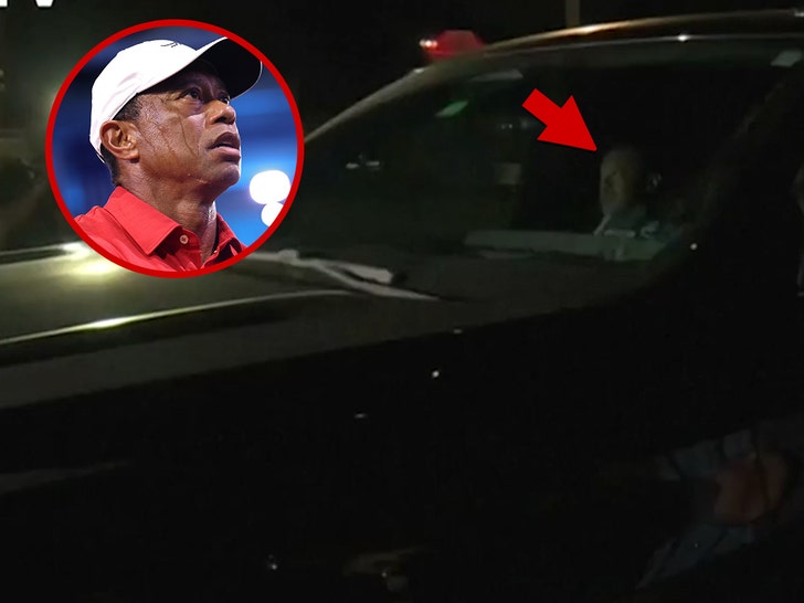 tiger-woods-leaves-jail-primary-03-27-2026