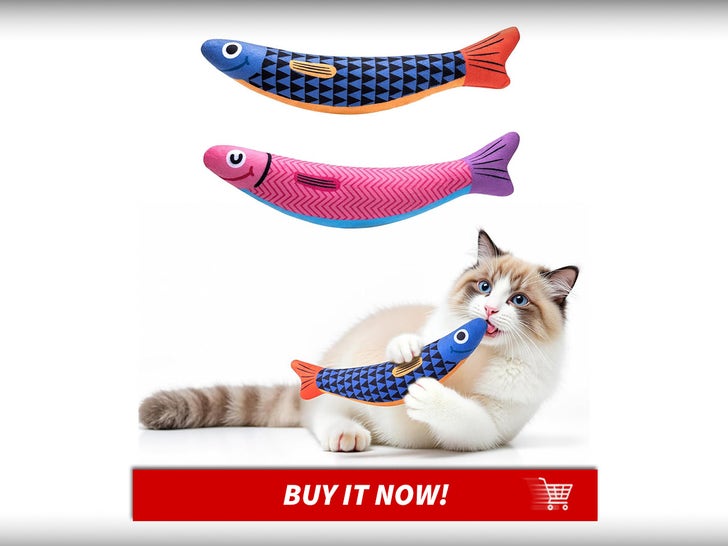 PetBusy-Catnip-Cat-Toy-International-Cat-Day-MAIN