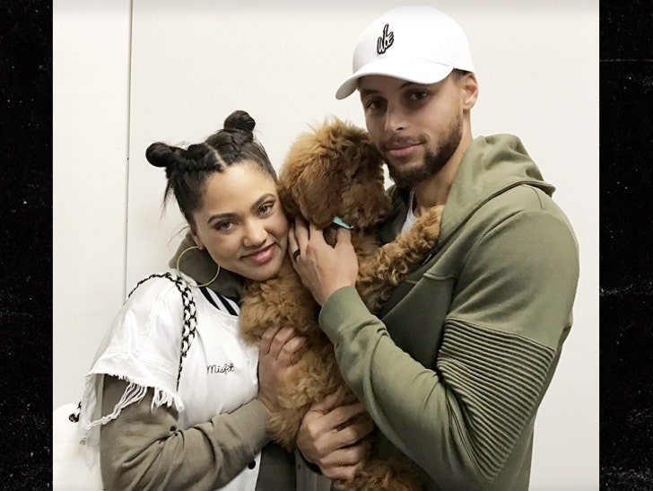 Steph Curry Drops $3,800 On Adorable New Puppy