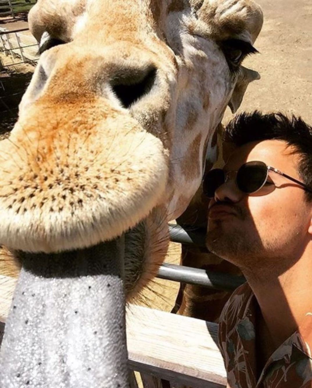 Taylor Lautner
