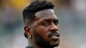Antonio Brown Artist Accuser Claims AB Had Sex While She Painted In Same Room