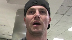 'Arrow's Stephen Amell Sues Neighbor for Running Illegal Kennel Business