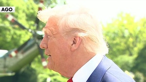 donald-trump-pope-primary-04-29-2025