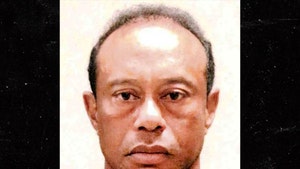 tiger woods mug shot 1
