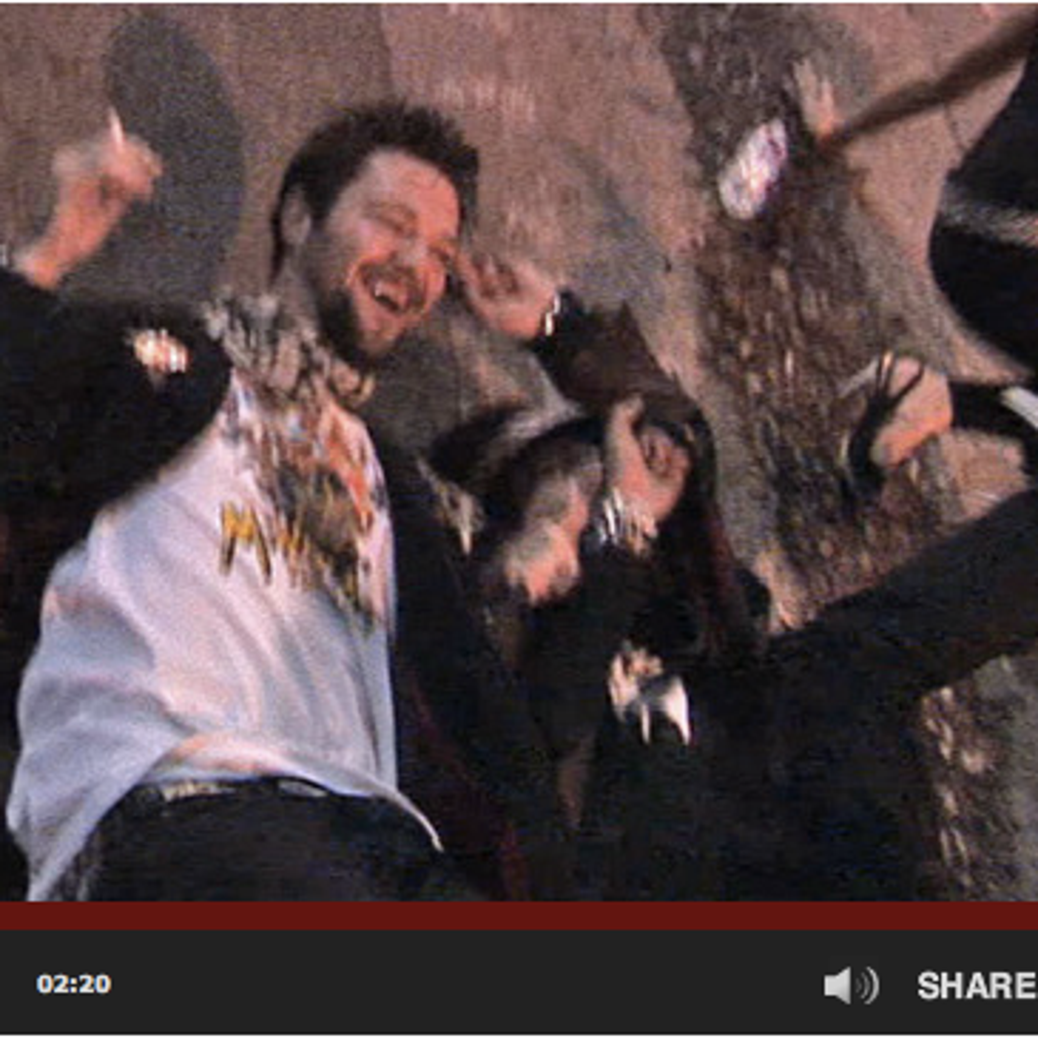 Bam Margera -- Wasted hq nude pic