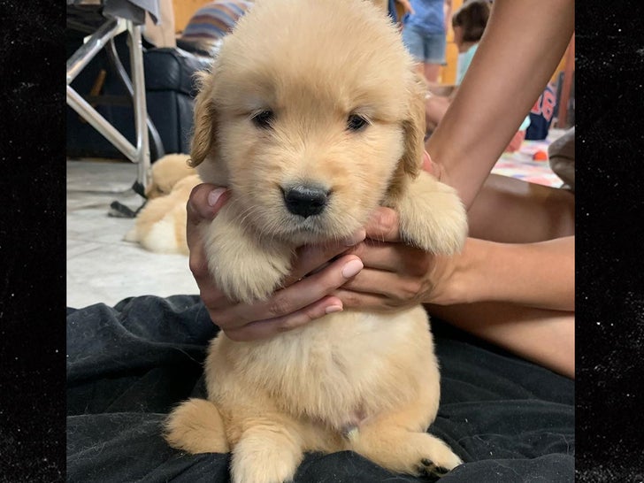 Charlie Coyle's Puppy Pics