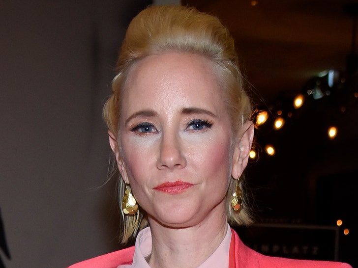 Anne Heche Under Investigation for Felony DUI After Fiery Crash into House.jpg