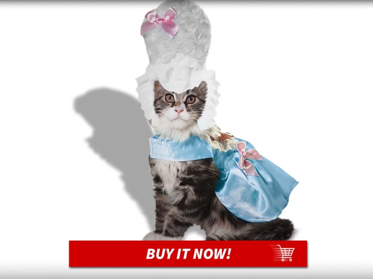 Bootique-Fancy-Costume-for-Cats-MAIN