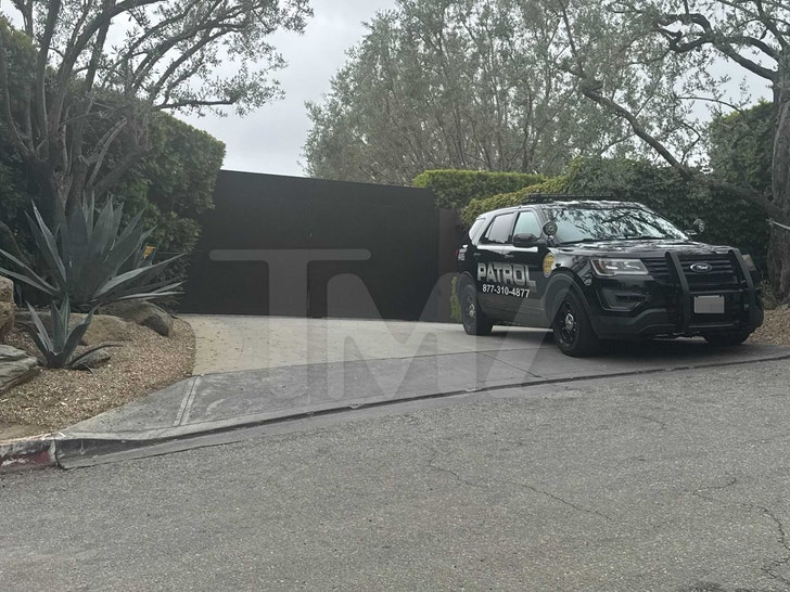 Jennifer Anniston Front Gate Police TMZ WM