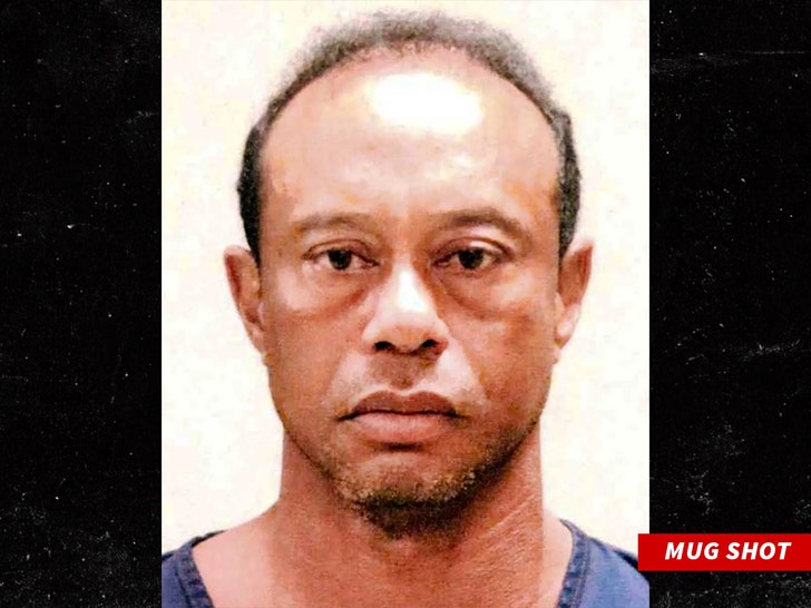 Image 14: tiger woods mug shot 1