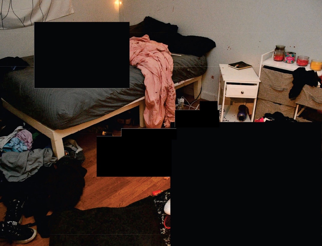 Bryan Kohberger Graphic Crime Scene Photos 7