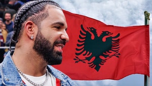 Drake Pays Homage to Albanian Independence Day In 'Polar Opposites' Video