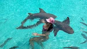 0813-Stassie-Karanikolaou-Swimming-With-Sharks-PRIMARY